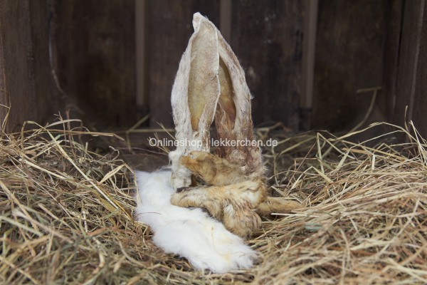 Kaninchen Fell Mix