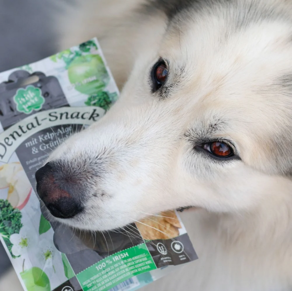 100 % Veggie, Dental-Snack mit Kelp-Alge & Grünkohl