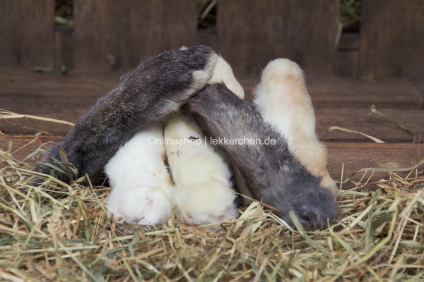 Kaninchenläufe mit Fell