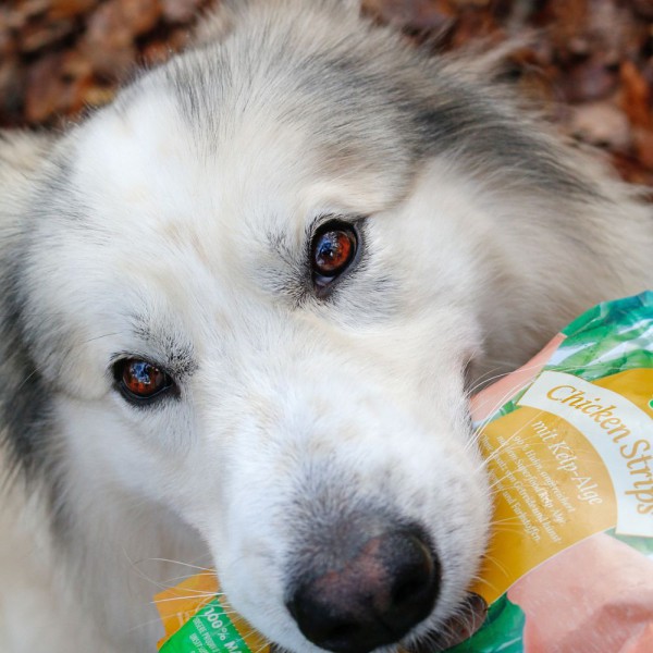 Irish Chicken-Snack, Chicken Strips mit Kelp-Alge