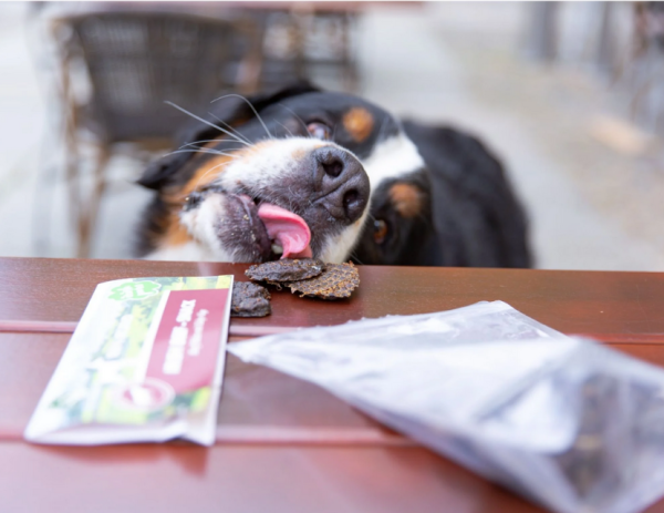 Irish Beef-Snack, Beef Bites mit Kelp-Alge