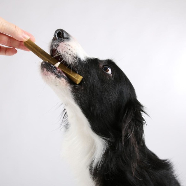 100 % Veggie, Dental-Snack mit Kelp-Alge & Grünkohl